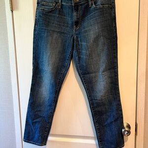 GAP Blue Straight Leg Jeans Classic Denim